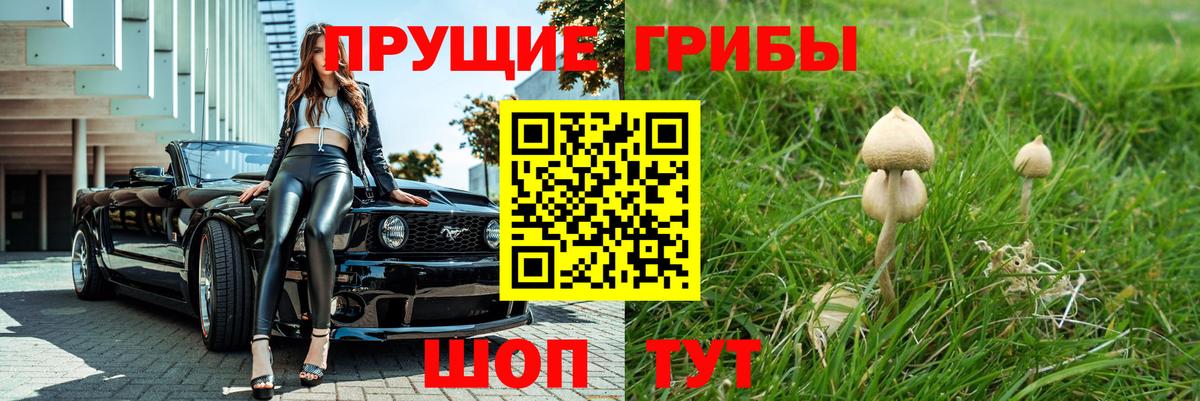 Галлюциногенные грибы Psilocybine cubensis Павловский Посад