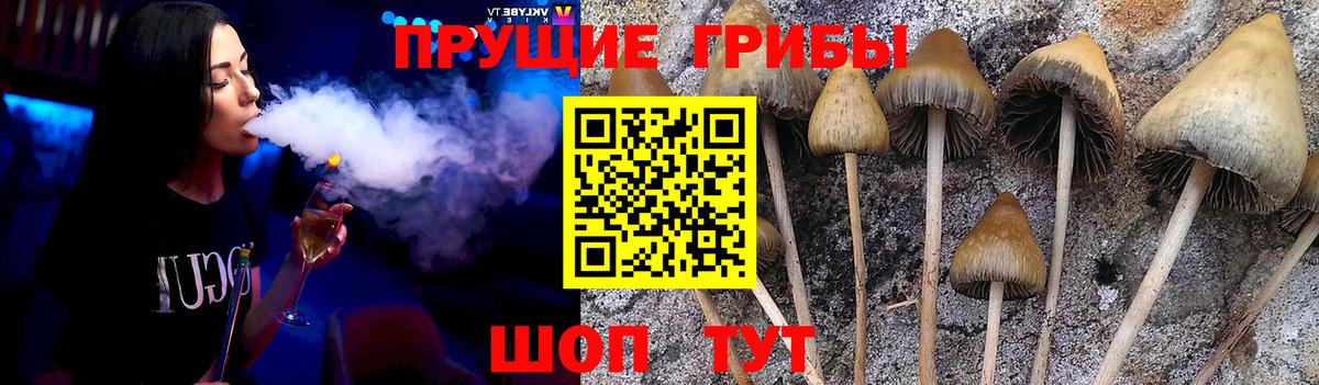 сколько стоит  Псилоцибиновые грибы прущие грибы  Вход с VPN  Павловский Посад 